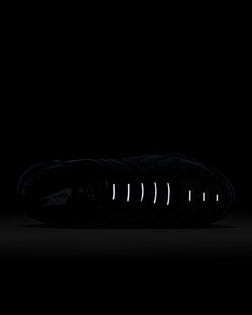 Nike Air Max Plus Tenis para hombre
