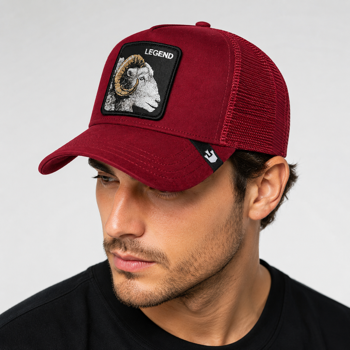Gorra Goorin Bros THE SUEDE LEGEND RAM