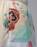 Jordan Essentials Shorts de malla estampados para hombre