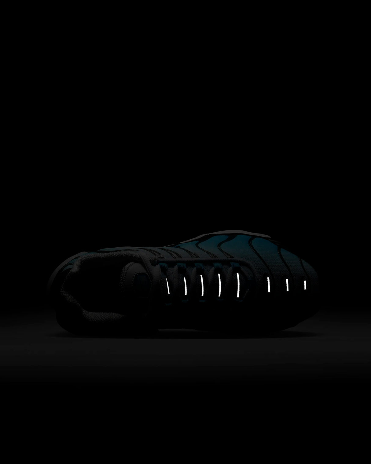 Nike Air Max Plus Zapatillas