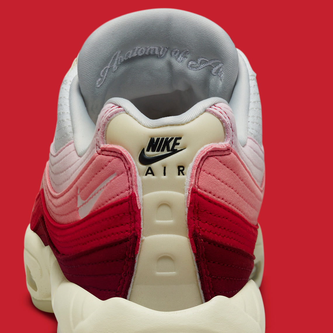 Nike Air Max 95 "Anatomía del aire"