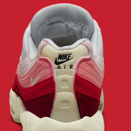Nike Air Max 95 "Anatomía del aire"