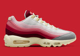 Nike Air Max 95 "Anatomía del aire"